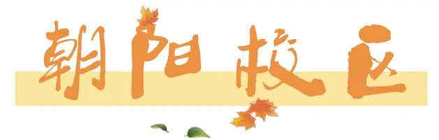 职业篮球运动员的心理调节技巧_1